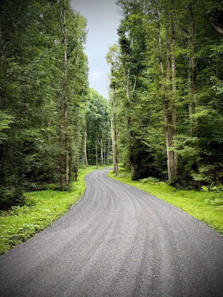 A freshly paved blacktop drive curving through green woods